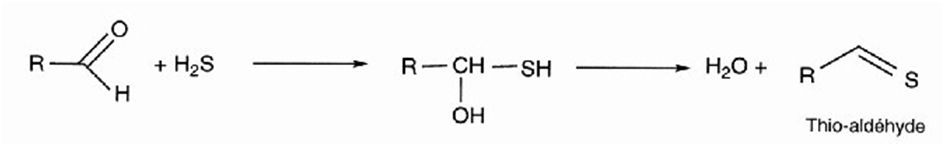 Abbattimento Odori reazione di neutralizzazione 2