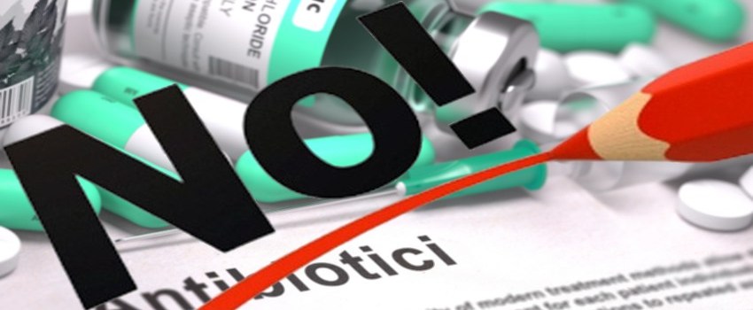 Allevamento zootecnico - NO all'uso degli Antibiotici
