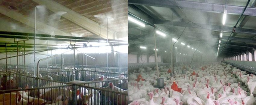 Allevamento zootecnico: utilizzo del fogging per diffondere il prodotto biologico