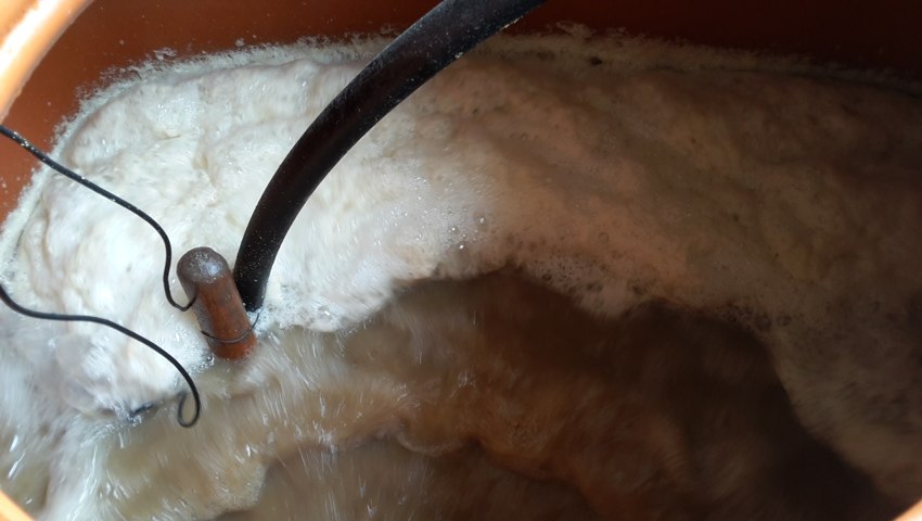 Fanghi di Depurazione - schiuma prodotta dai Biosurfattanti
