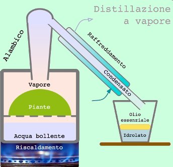 Oli essenziali - distillazione in corrente di vapore
